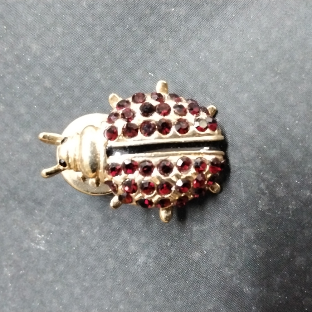 Lady bug Red rhinestones Brooch/pin